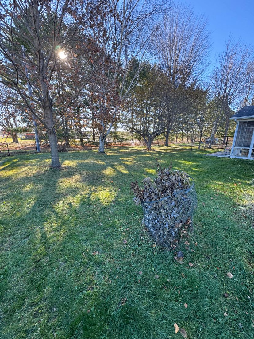 Storm debris cleanup