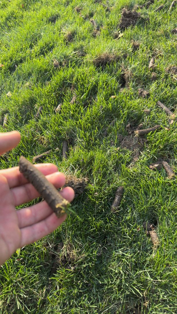 Core aeration service