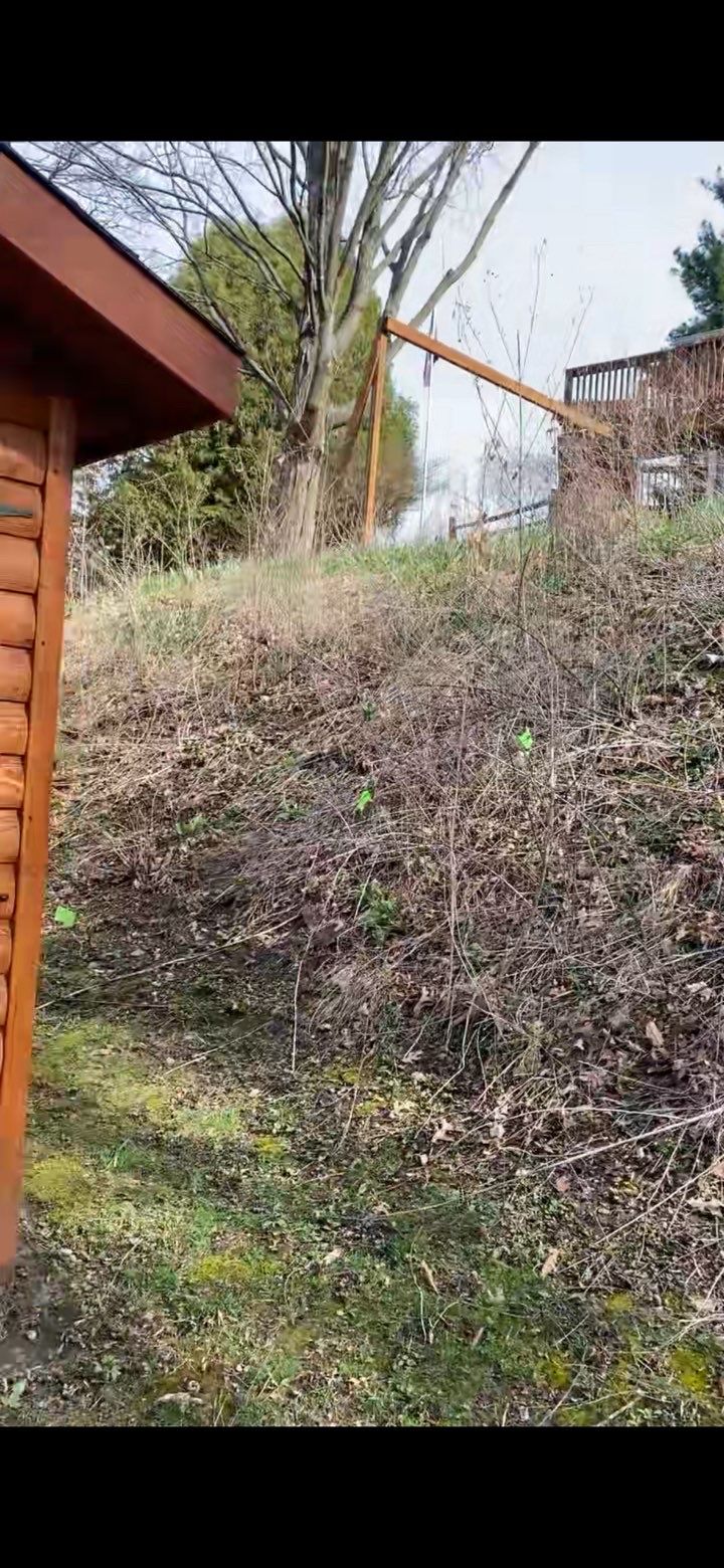 Before mulching service