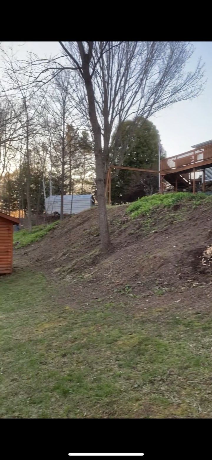 After mulching service